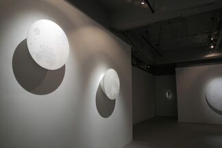 Tree of Life - Shinji Ohmaki, installation view