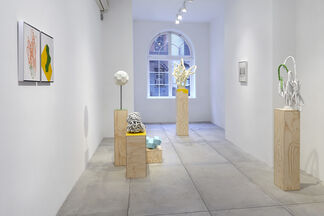 Paul Sacaridiz, installation view