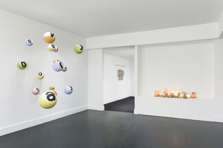 Nancy Dwyer, installation view