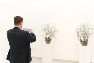 Children, Olive Trees and Barbed Wire, installation view