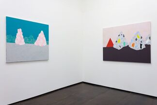 Cara Nahaul: Crossing the Tropic, installation view