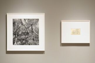 Lee Friedlander & Pierre Bonnard: Photographs & Drawings, installation view