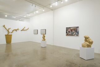 Across the Pacific: Contemporary Chinese Artists, installation view