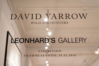 Wild Encounters by David Yarrow, installation view