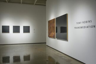 Tony Robins - Transmediation, installation view