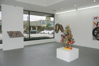 Chambliss Giobbi: American Iron, installation view