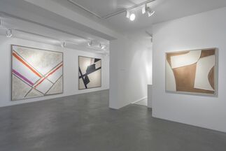 Sandra Blow: The Late Works, installation view