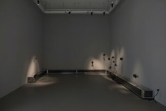 Daniel G. Baird, "murmur", installation view
