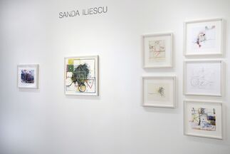 Sanda Iliescu In the Garden of (plastic) Paradise, installation view