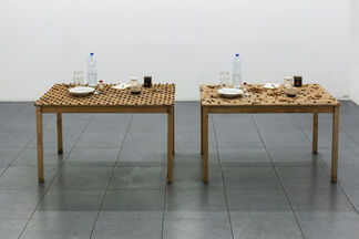Pravdoliub Ivanov - Neglectable Incidents at the Level of the Eyes, installation view