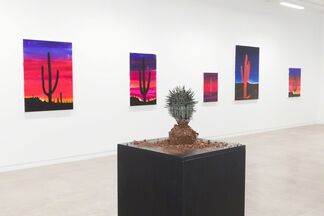 Desert Bloomers, installation view