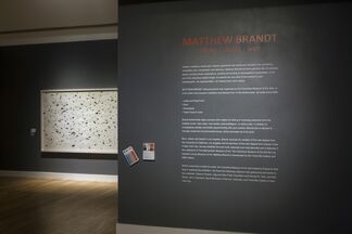 Matthew Brandt: Sticky/Dusty/Wet, installation view
