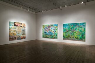 Cameron Hayes, installation view