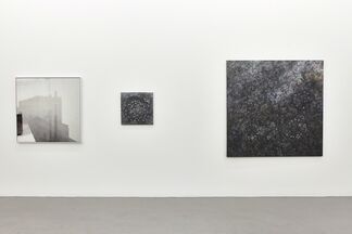 Transects, installation view