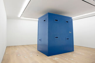Paola Pivi: "Ok, you are better than me, so what?", installation view