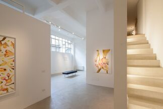 Isabella Nazzarri | Vita delle forme, installation view
