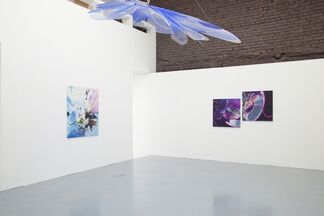 Dasha Kudinova: New Works, installation view