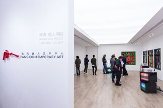 Li Qing Solo Project, installation view