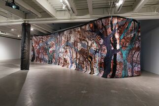 Rodney McMillian: The Black Show, installation view