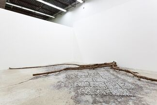 Death of a Printed Story- Fabian Peña, installation view