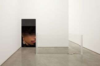 Massimo Grimaldi - "Highlights", installation view