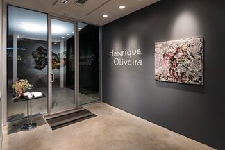 Henrique Oliveira, installation view