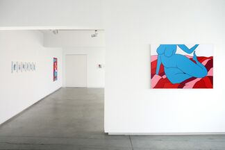 SALUT by PARRA, installation view