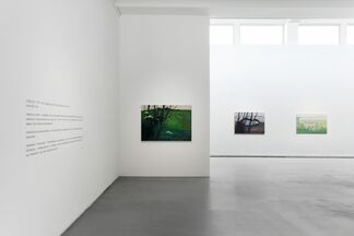 Sleeping Lake – Solo Exhibition of Yin Qi, installation view