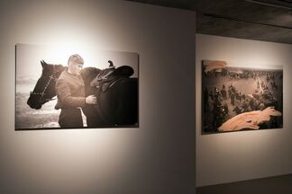 Wolves of the Steppes, installation view