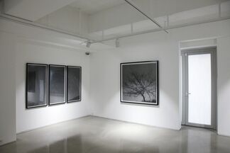 Gallery BK at Art Central 2017, installation view