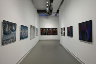 Mystery as Muse, installation view