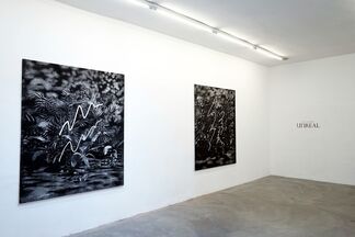 Thijs Zweers - Unreal, installation view