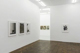 Birgit Jürgenssen, installation view
