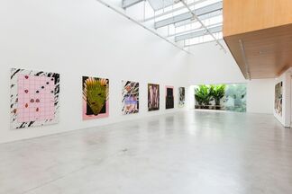 Muito sol na cachoeira (Sun in the waterfall), installation view