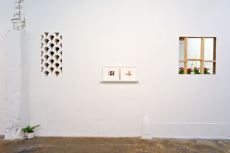 TO HIDE TO SHOW, installation view