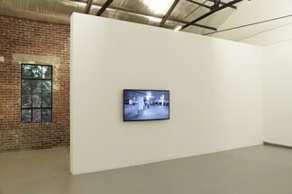 Daniel Crooks - Hamilton's Path, installation view