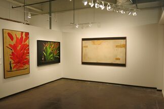 Beatriz Esguerra Art at Dallas Art Fair 2014, installation view