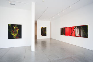 Ed Moses and John Zinsser, installation view