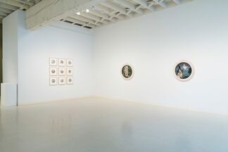 Michael Paul Miller: Wild Olympia, installation view