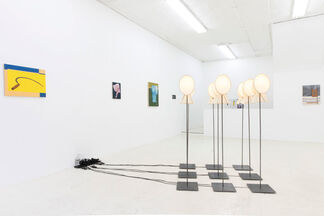 "Useless Flowers" | Caitlin MacBride & Sam Stewart, installation view