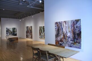Michael Smith "Fugitive Ground", installation view