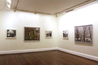 Stanley Lewis: The Way Things Are, installation view