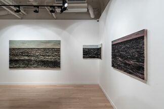 Yoan Capote: Territorial Waters, installation view