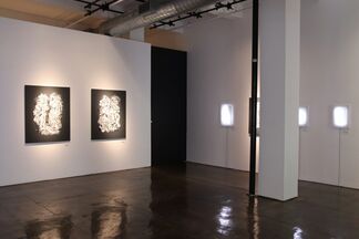 Carol Salmanson: "Two Sides to a Coin", installation view