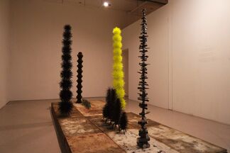 Choi Jeong Hwa: Tathata, installation view