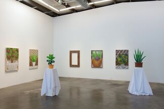 Mike Carney: Looking to See the Thing, installation view