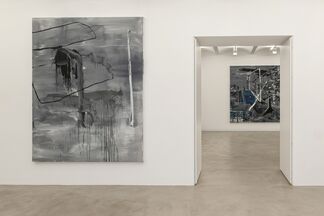 Leonardo Silaghi, installation view