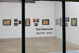 Ted Diamond, installation view