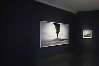 LOOK AGAIN, installation view
