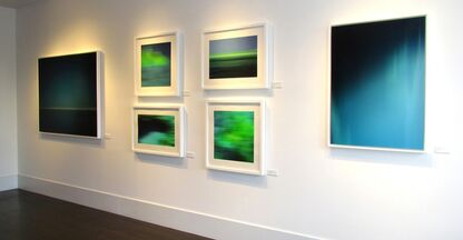 Bonnie Edelman: AWOL, installation view